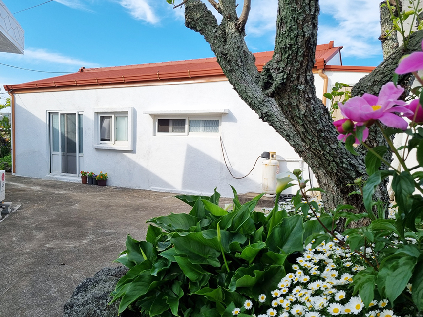 '[제주/구좌] 김녕 성세기 해변 농가독채 -  향기채'의 숙소 대표 사진