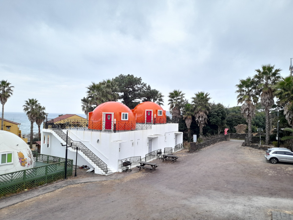 '[서귀포시] 스토리1(13평) / 반려동물 동반 환영★, 무료조식◆ / 관리비, 보증금 X'의 숙소 대표 사진