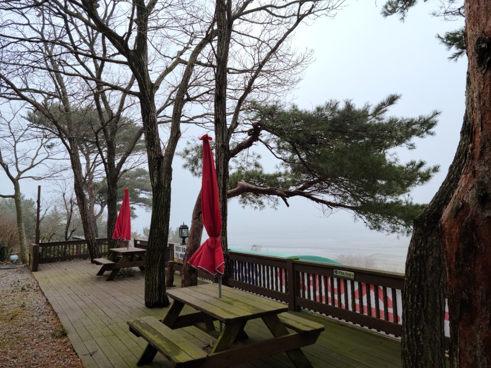 room_image_31