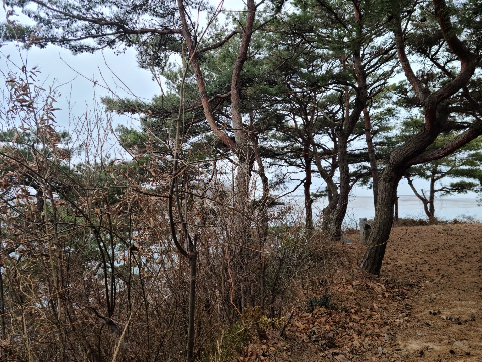 room_image_10