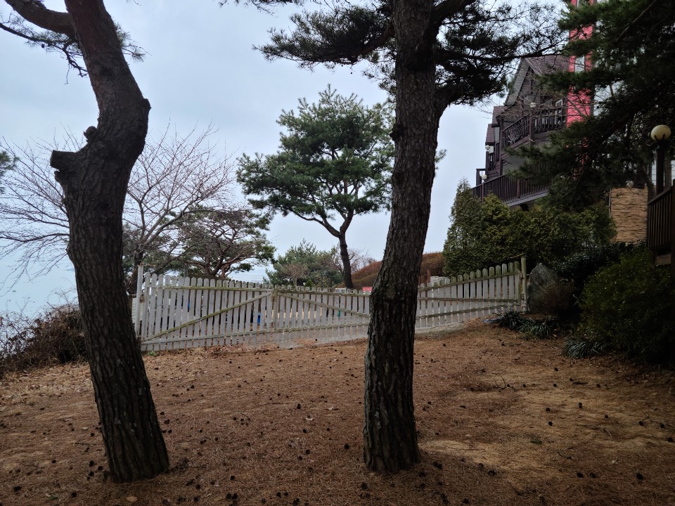 room_image_14